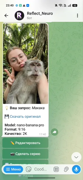 Reflect Neiro — выбор модели